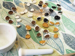 stage fabriquez vos pigments